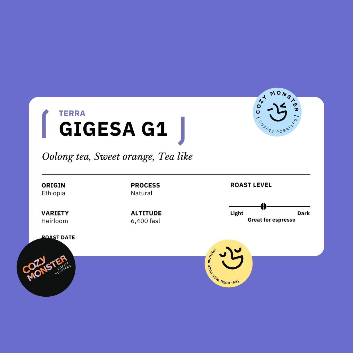 GIGESA G1 Ethiopia