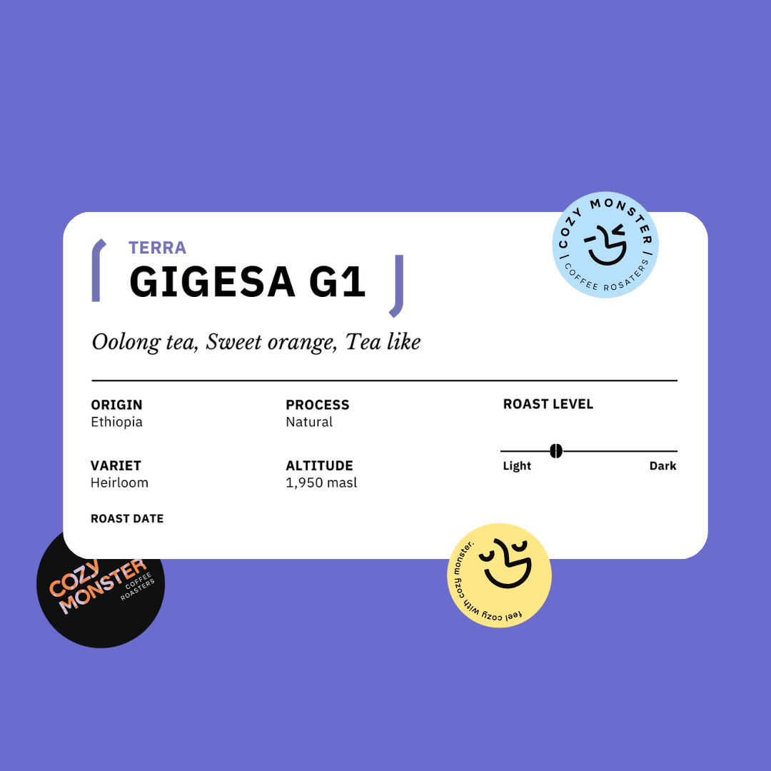 GIGESA G1 Ethiopia