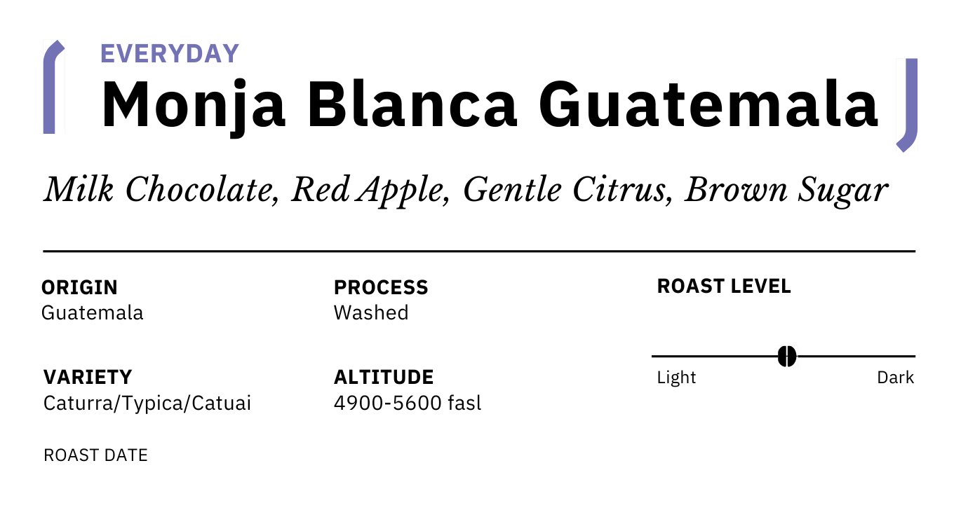Monja Blanca Guatemala - For Everyday Brew