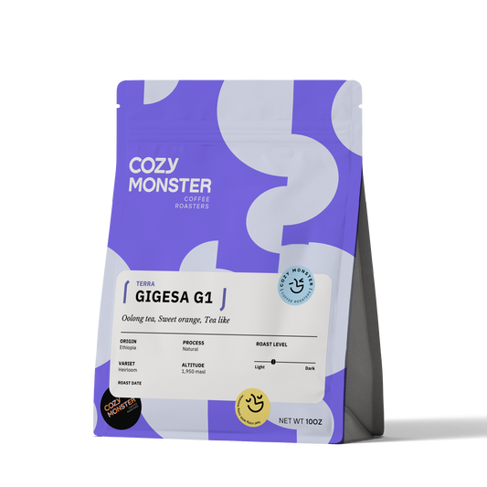 GIGESA G1 Ethiopia